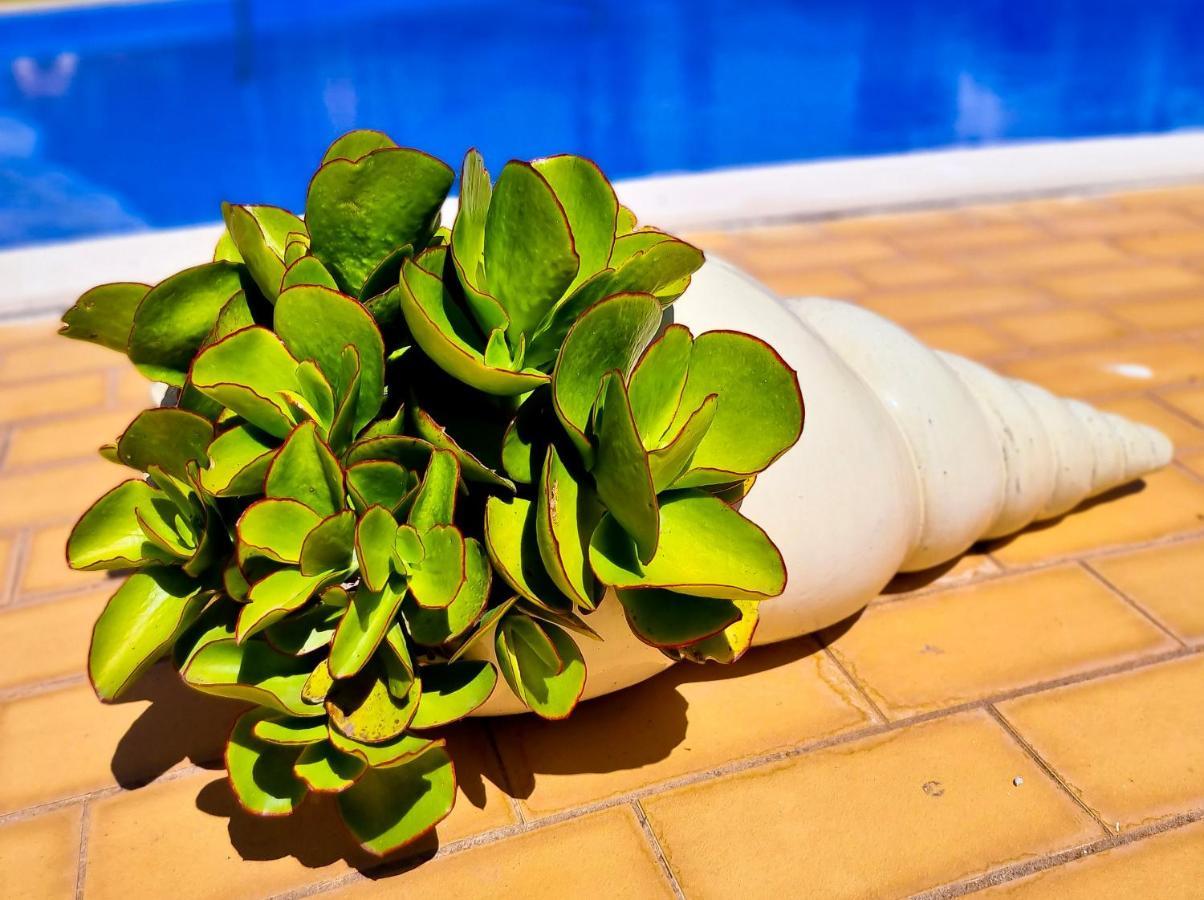 Flh Summer Flat With Pool * Vilamoura